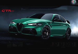 Alfa Romeo Giulia GTAm Verde Montreal Roll Bar Verde Montreal Silver Brakes (without Case) (Diecast Car)