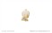 Fate/Grand Order - Divine Realm of the Round Table: Camelot Silhouette Charm (Set of 8) (Anime Toy) 商品画像2 Thumbnail