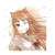 Spice and Wolf Holo Vol.9 Cover Illustration Ani-Art Canvas Board (Anime Toy) Item picture2