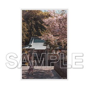 [Love Live! Sunshine!!] Find Our Numazu Acrylic Ornament Riko Sakurauchi (Anime Toy)