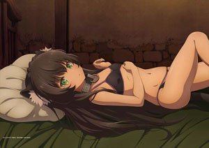 How Not to Summon a Demon Lord Omega [Especially Illustrated] B2 Tapestry Rem (Anime Toy)