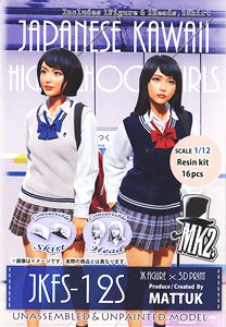 JK Figure Series JKFS-12S (1/12 Scale) (Plastic model)