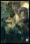 マジック：ザ・ギャザリング プレイヤーズカードスリーブ 『ストリクスヘイヴン：魔法学院』 日本画ミスティカルアーカイブ 《自然の秩序》 (MTGS-162) (カードスリーブ) 商品画像1