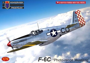 F-6C `Photo-Recce Mustang` (Plastic model)