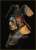 米 胸像 レイヴンソーサラー「ワタリガラスを連れた魔術師」 (プラモデル) その他の画像2