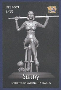 Sunny (Plastic model)