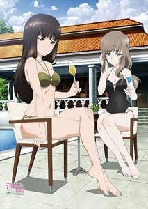 [Girls und Panzer das Finale] B2 Tapestry (Shiho & Chiyo / Swimwear) (Anime Toy)
