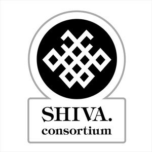 Godzilla S.P (Singular Point) Shiva. Consortium Wappen (Removable) (Anime Toy)