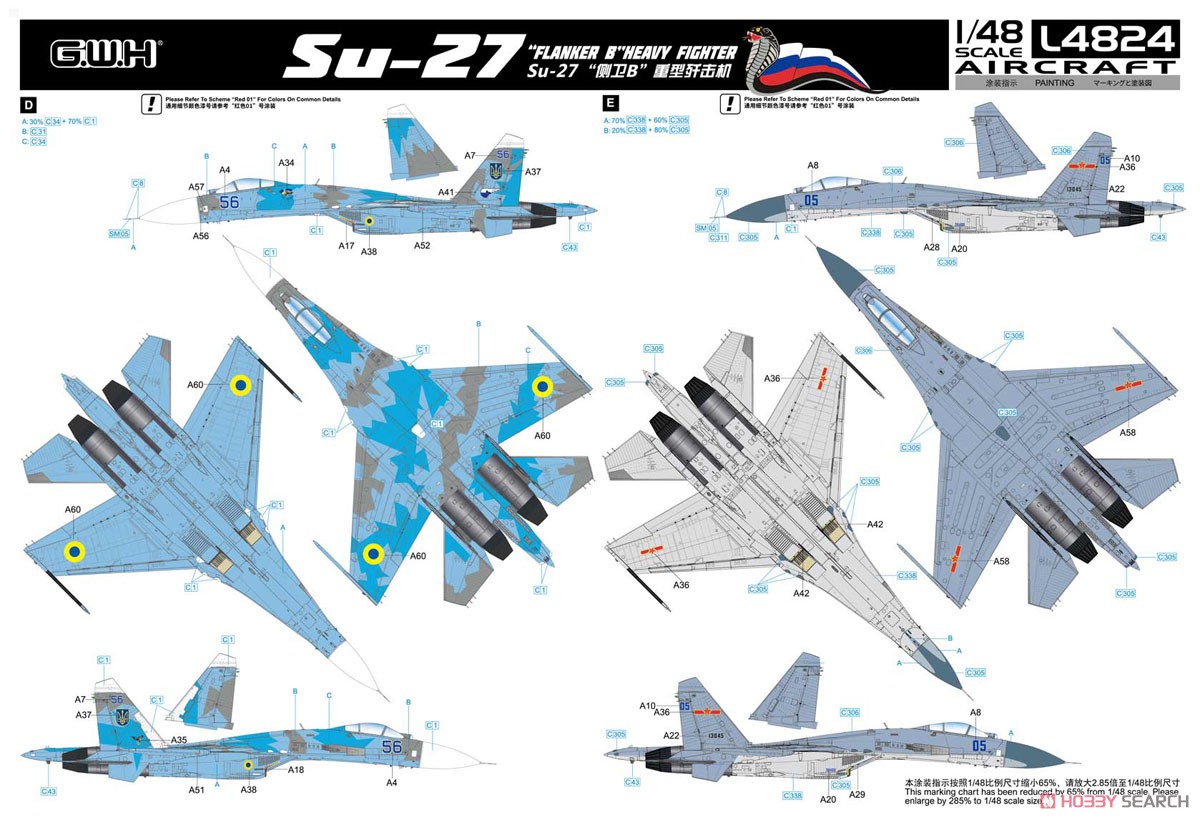 Su-27 フランカーB (プラモデル) 塗装3