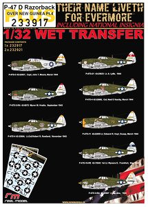 P-47D レザーバック 「ニューギニア上空 パート4」w/国籍マークデカール (デカール)