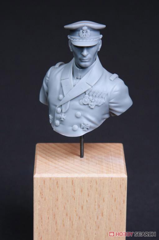 WW.I オーストリア・ハンガリー帝国 海軍将校 ゴットフリート・フォン・バンフィールド 胸像 (プラモデル) その他の画像11
