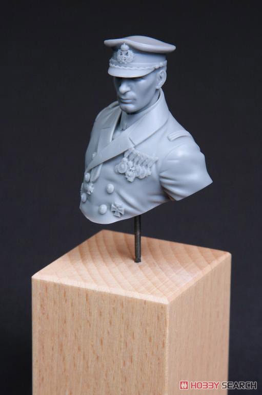 WW.I オーストリア・ハンガリー帝国 海軍将校 ゴットフリート・フォン・バンフィールド 胸像 (プラモデル) その他の画像12