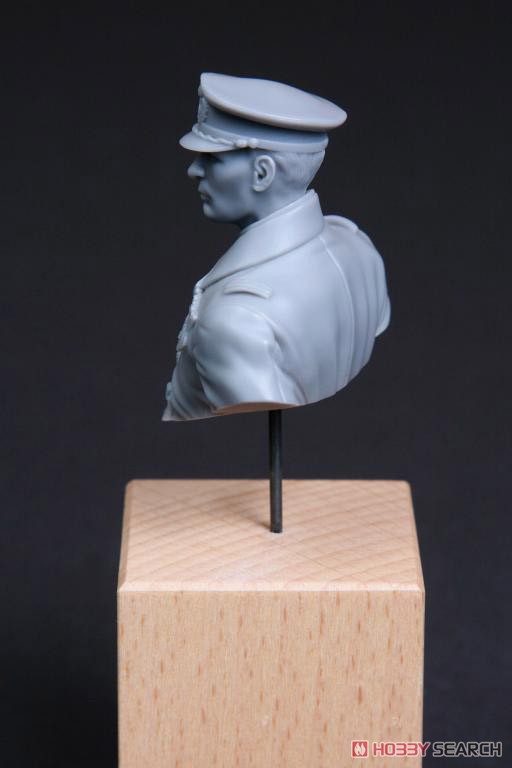 WW.I オーストリア・ハンガリー帝国 海軍将校 ゴットフリート・フォン・バンフィールド 胸像 (プラモデル) その他の画像15