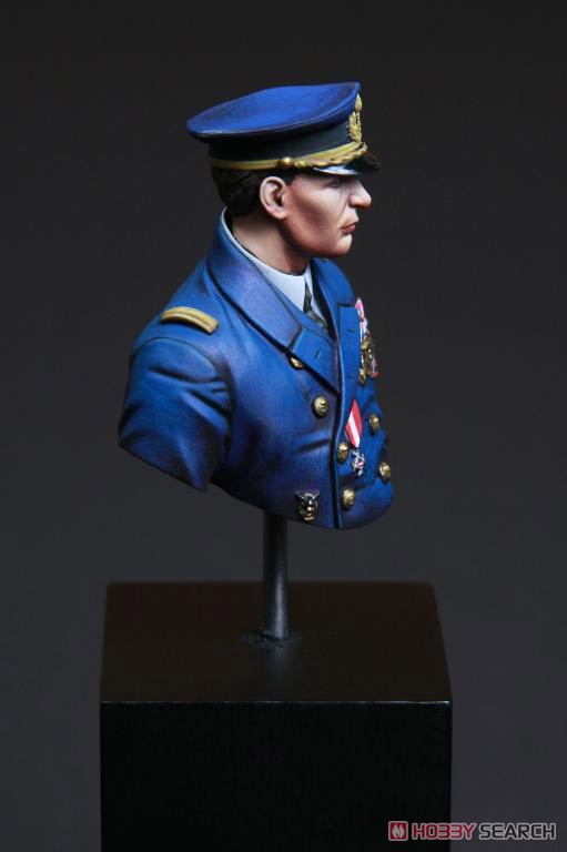 WW.I オーストリア・ハンガリー帝国 海軍将校 ゴットフリート・フォン・バンフィールド 胸像 (プラモデル) その他の画像9
