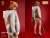 Serene Hound Series 501S613 Pledge Witch Grainne (Fashion Doll) Item picture7