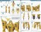 Undeaddress アイシス DX Ver. ※初回特典付 (組立キット) 設計図10 モーダル サムネイル