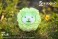 Vegetable Fairy Figure Collection Hakusainu (Completed) その他の画像4 Thumbnail