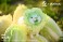 Vegetable Fairy Figure Collection Hakusainu (Completed) その他の画像1 Thumbnail