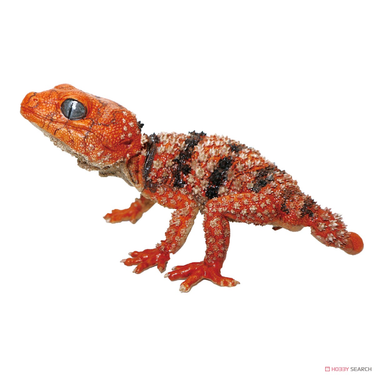 1/1 オニタマヤモリ＆アルマジロトカゲ (4個セット) (動物フィギュア) 商品画像1
