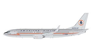 737-800 アメリカン航空 N905NN polished `Astrojet` 塗装 (完成品飛行機)