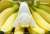 【発売中止】 おやさい妖精フィギュアコレクション バナナマコ (完成品) その他の画像2