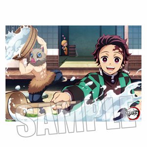 Bathroom Poster [Demon Slayer: Kimetsu no Yaiba] Tanjiro & Zenitsu & Inosuke (Anime Toy)