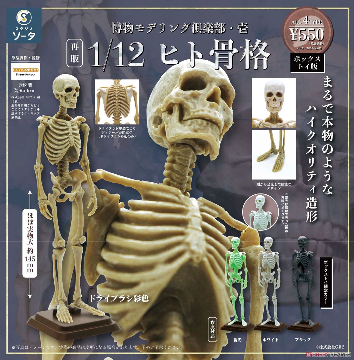 Natural History Modeling Club Vol.1 1/12 Human Skeleton (Set of 4) (Completed) Other picture1