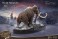 Star Ace Toys Woolly Mammoth Polyresin Statue (Completed) その他の画像12 Thumbnail