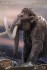 Star Ace Toys Woolly Mammoth Polyresin Statue (Completed) その他の画像3 Thumbnail