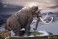 Star Ace Toys Woolly Mammoth Polyresin Statue (Completed) その他の画像9 Thumbnail