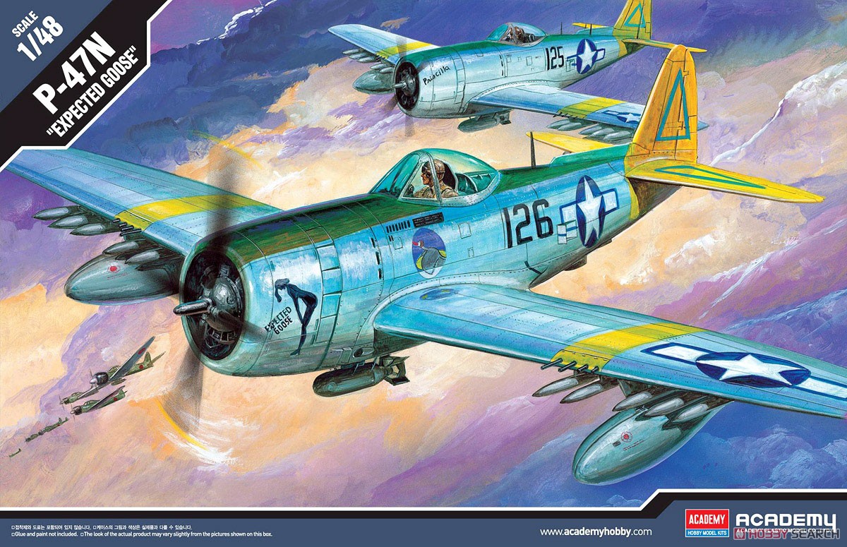 P-47N サンダーボルト `エクスペクテッド・グース` (プラモデル) その他の画像1