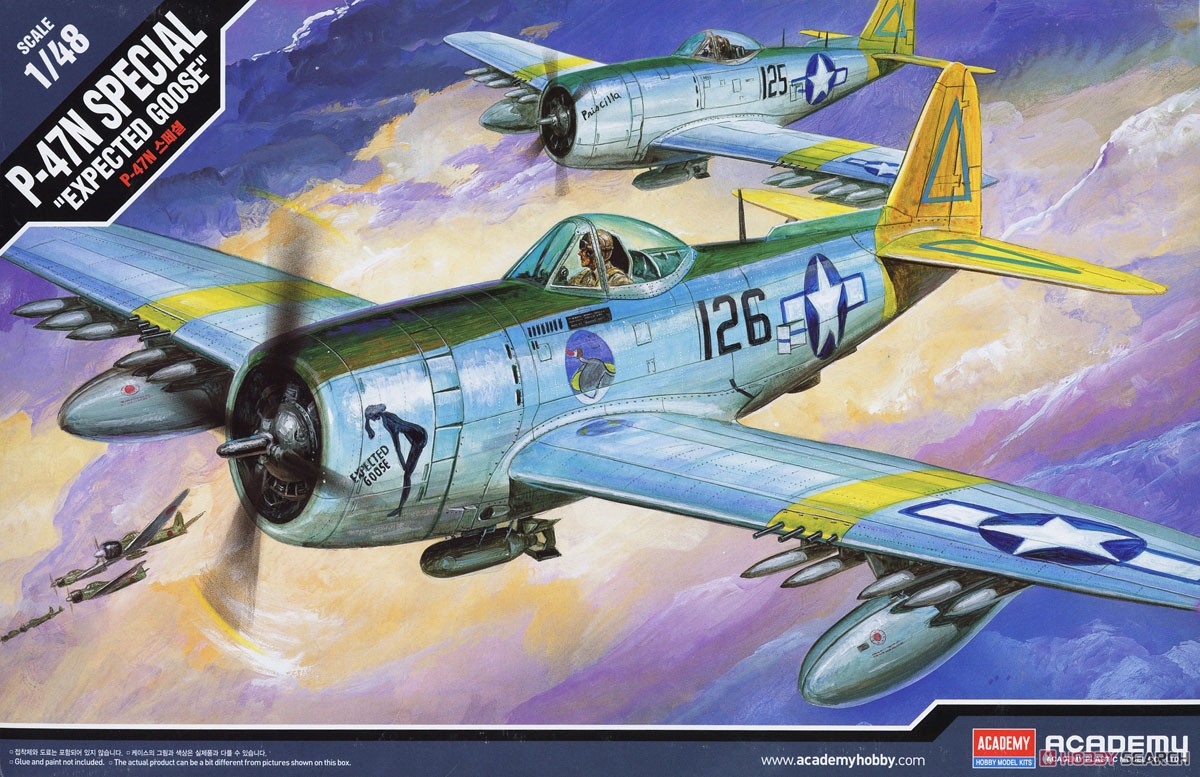 P-47N Thunderbolt `Expected Goose` (Plastic model) Package1