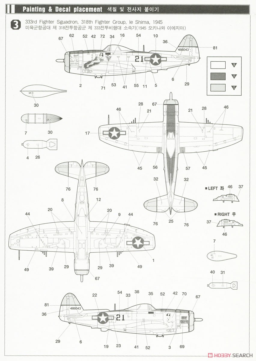 P-47N サンダーボルト `エクスペクテッド・グース` (プラモデル) 塗装3