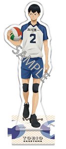 Haikyu!! Memory Scene Whole Body Acrylic Stand Kageyama (Anime Toy)
