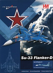 Su-33 フランカーD型 `T・アパキゼ少将追悼記念塗装` (完成品飛行機)