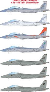 アメリカ空軍 F-15 `ザ ネクスト ジェネレーション` デカール (デカール)