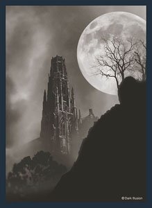 Broccoli Hybrid Sleeve [Moon of Evil] Revival (Card Sleeve)