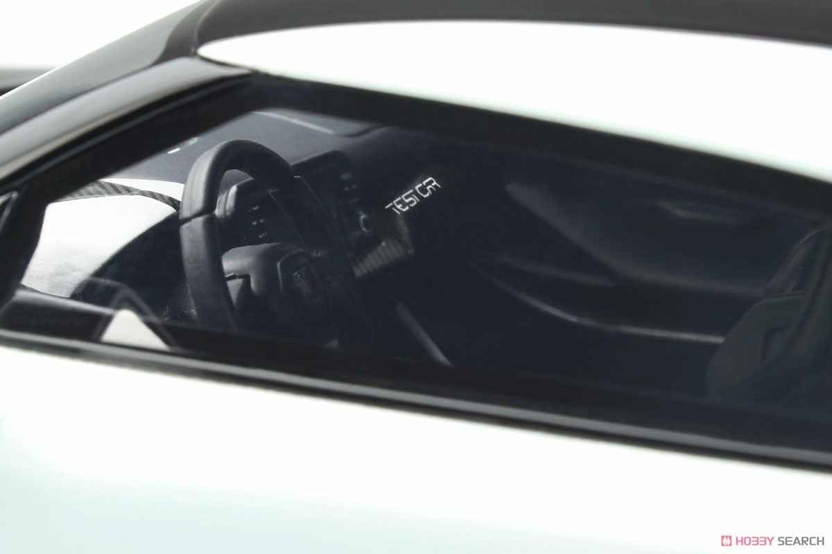 日産 GT-R R50 テストカー (ホワイト) (ミニカー) 商品画像10
