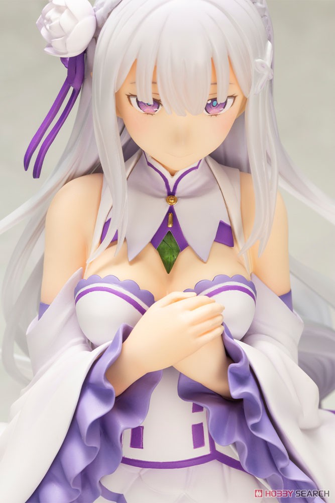 Emilia [Memory`s Journey] (PVC Figure) Item picture11