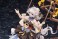 Honkai Impact 3rd Theresa`s-Starlit Astrologos Orchid`s Night Ver. (PVC Figure) 商品画像5 Thumbnail