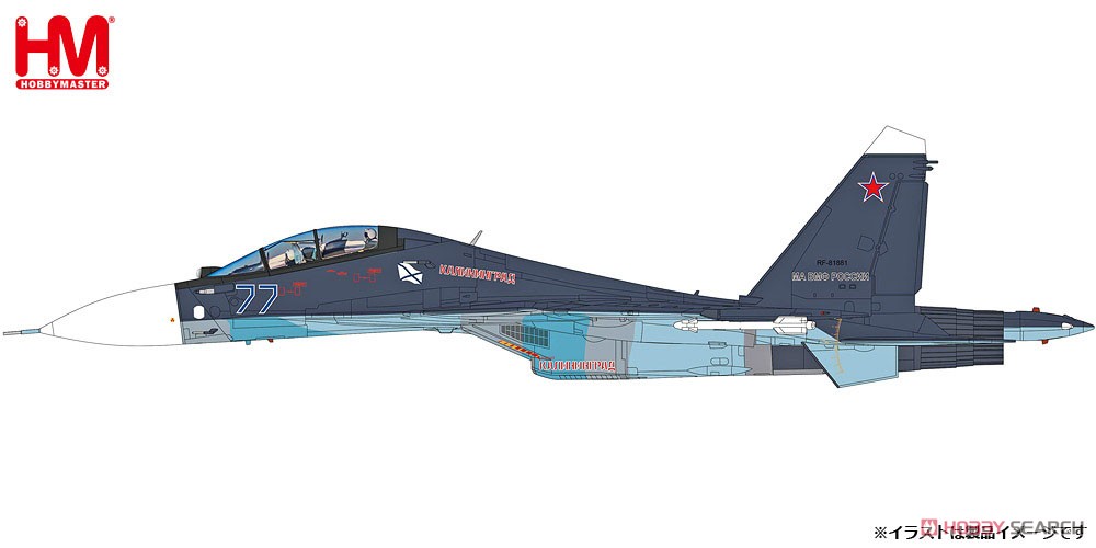Su-30SM フランカーC `ロシア航空宇宙軍 2019` (完成品飛行機) その他の画像1