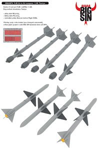 F-4B Air to Air Weapons (for Tamiya) (Plastic model)