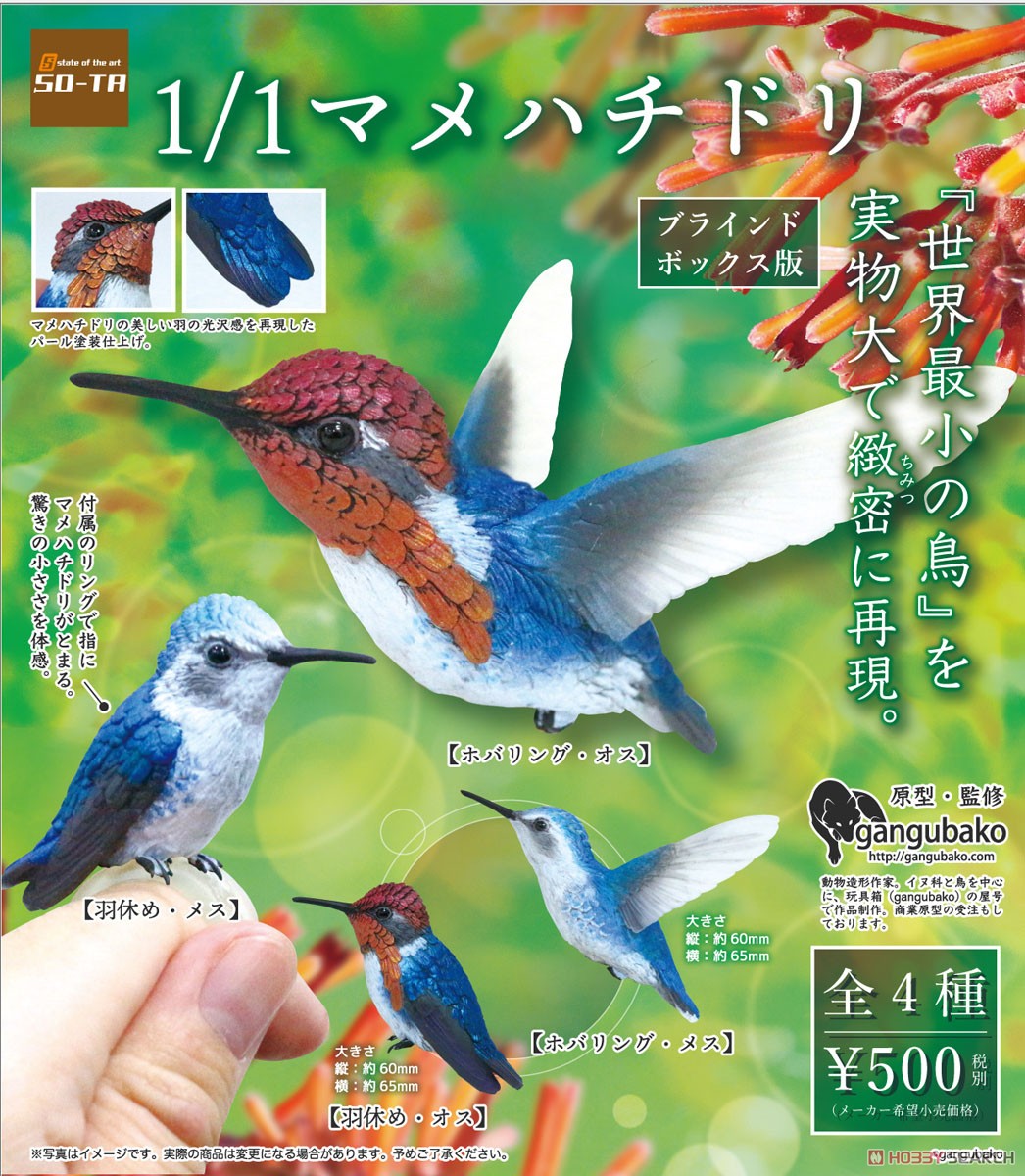 Bee Hummingbird (Set of 4) (Completed) その他の画像1