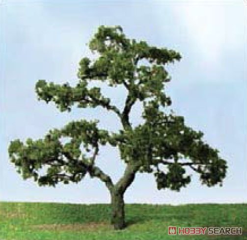 92323 (HO) 情景用 ブナの樹 (約7.6cm～8.8cm) HOスケール (2本入り) (鉄道模型) その他の画像1