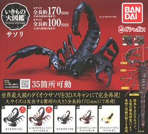 Scorpion (Toy)