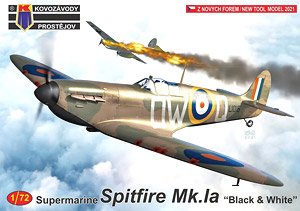 Supermarine Spitfire Mk.Ia `Black & White` (Plastic model)