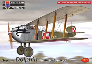 Sopwith Dolphin `In Polish Services` (Plastic model)