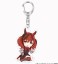 TV Animation [Uma Musume Pretty Derby Season 2] Choco-Suwa Trading Acrylic Key Ring (Set of 10) (Anime Toy) 商品画像11 Thumbnail