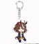 TV Animation [Uma Musume Pretty Derby Season 2] Choco-Suwa Trading Acrylic Key Ring (Set of 10) (Anime Toy) 商品画像3 Thumbnail