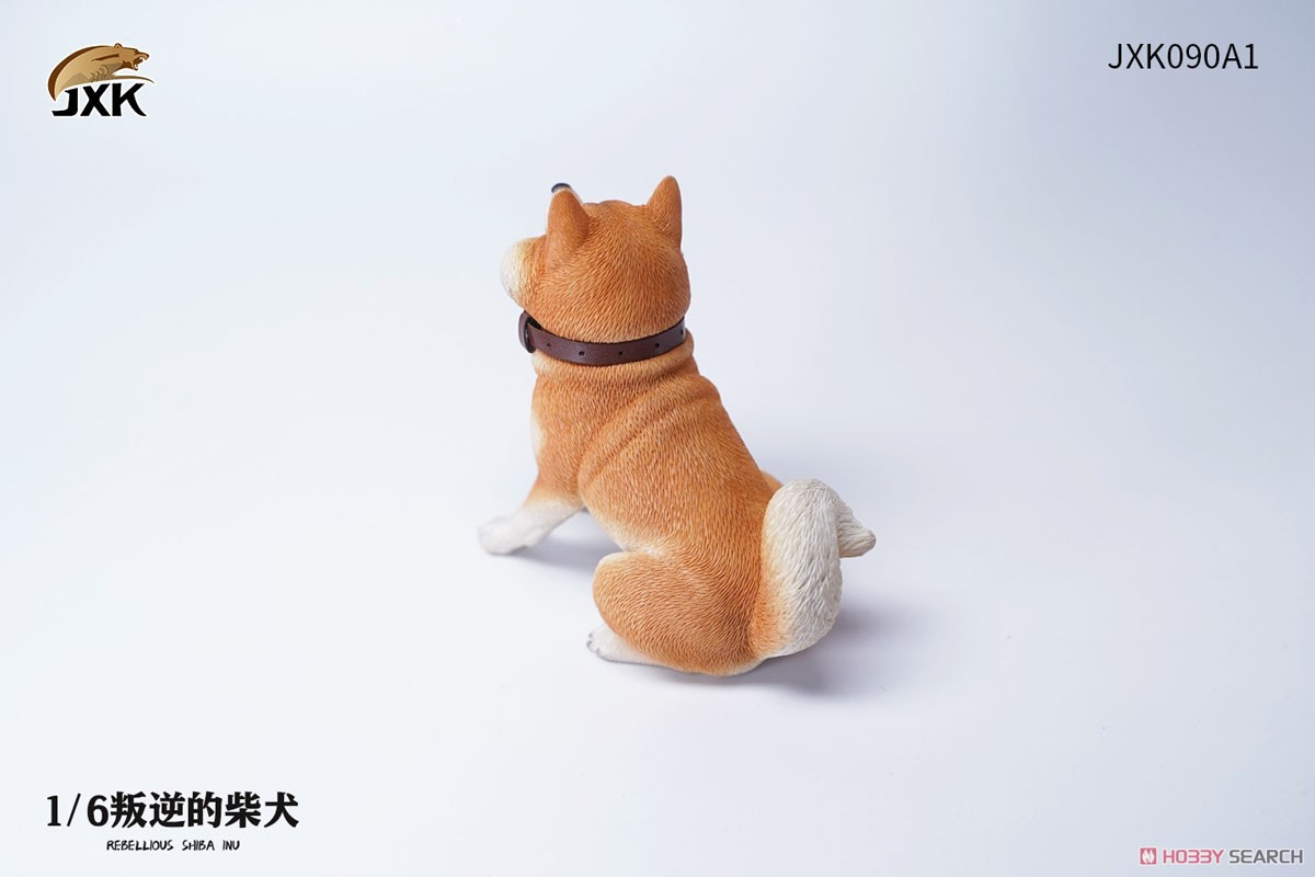 1/6 反逆の柴犬 A1 (ドール) 商品画像1